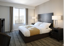 American Style Quality Inn  New Hotel Furniture